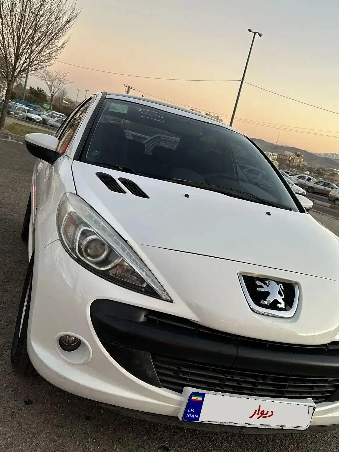 207 پانا|خودرو سواری و وانت|زنجان, |دیوار