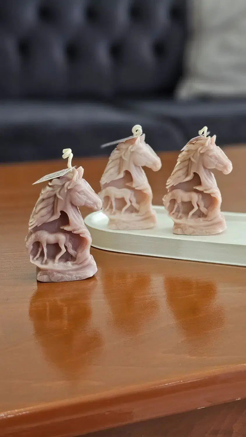 شمع اسب|صنایع دستی و سایر لوازم تزئینی|قم, انصار‌الحسین|دیوار