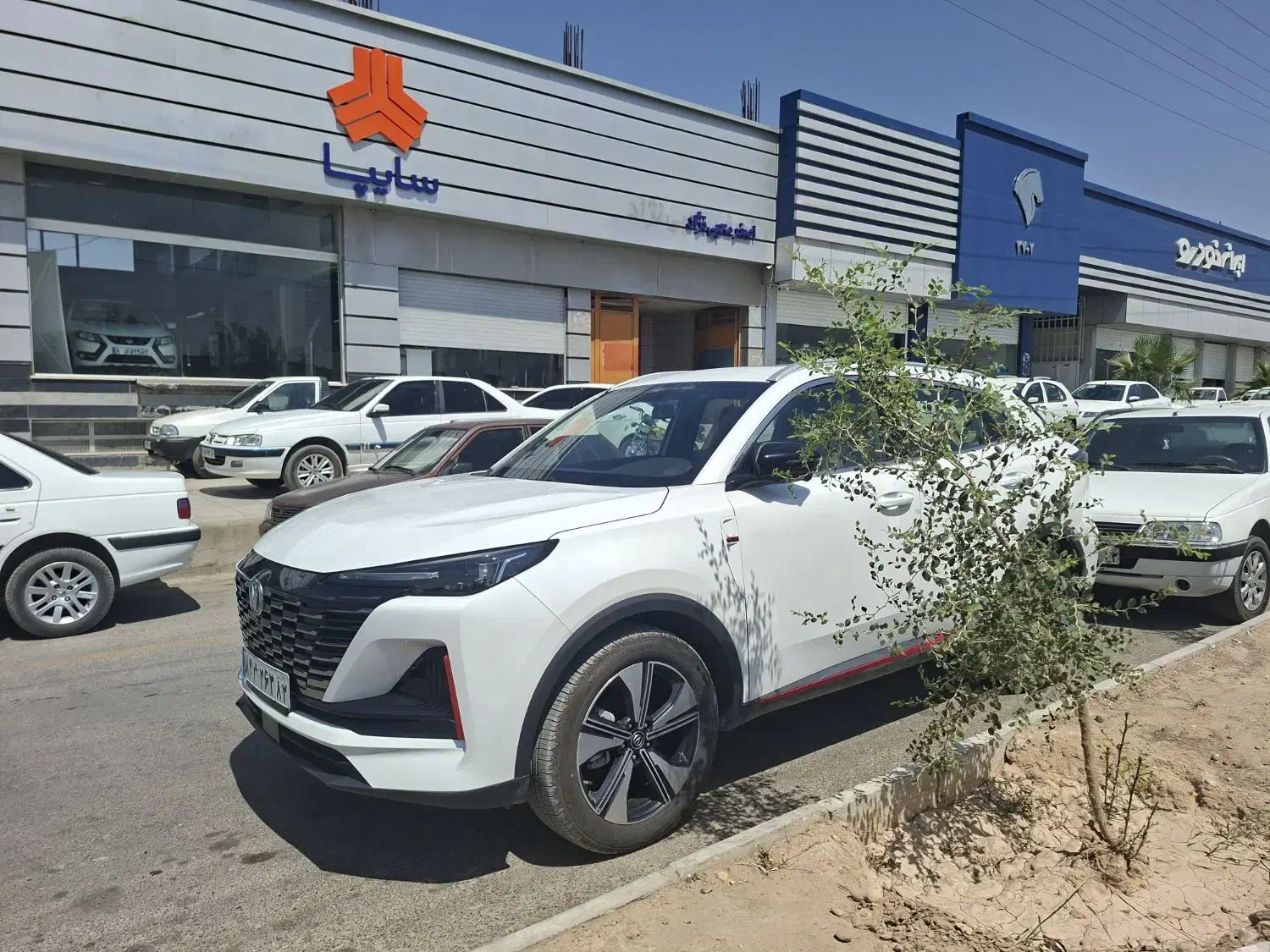 چانگان cs55 وارداتی ۲۰۲۴ مونتاژ نیست شیراز فسا|خودرو سواری و وانت|بندرعباس, |دیوار