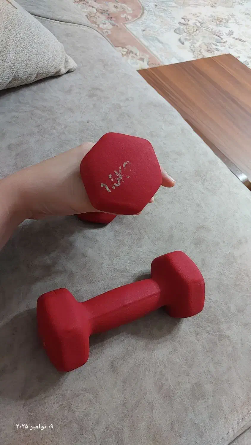 وزنه یک نیم کیلویی|تجهیزات ورزشی|لاهیجان, شیشه گران|دیوار