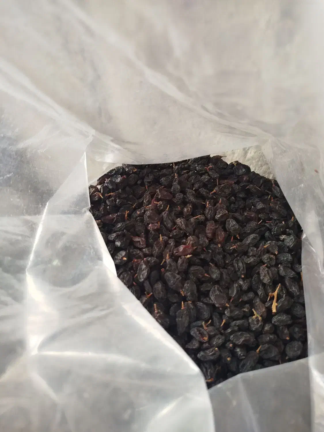 انواع کشمش|خوردنی و آشامیدنی|میاندوآب, |دیوار