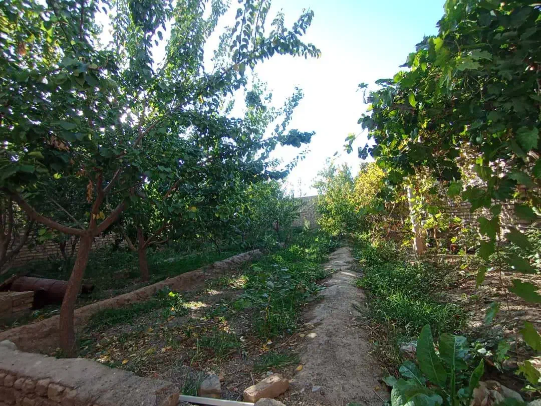 فروش یک باب خانه باغ|فروش دفتر صنعتی، کشاورزی، تجاری|کشکسرای, |دیوار