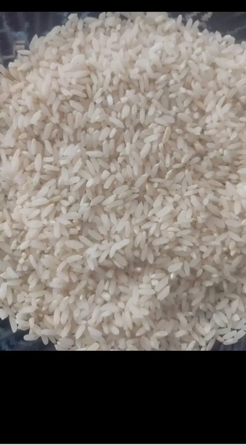 برنج چمپا|خوردنی و آشامیدنی|فولادشهر, C3|دیوار