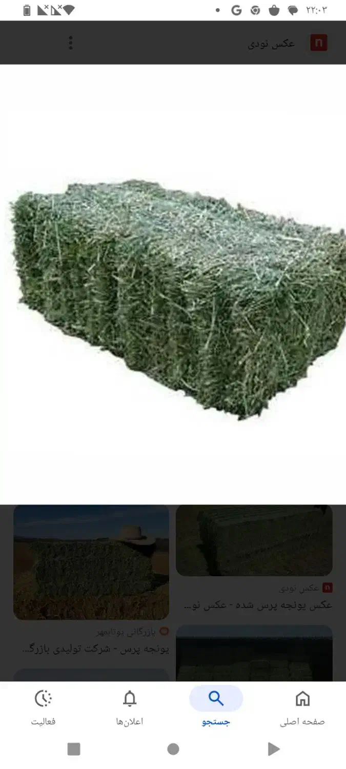 پرس شبدر|لوازم جانبی حیوانات|شیروان (لرستان), |دیوار