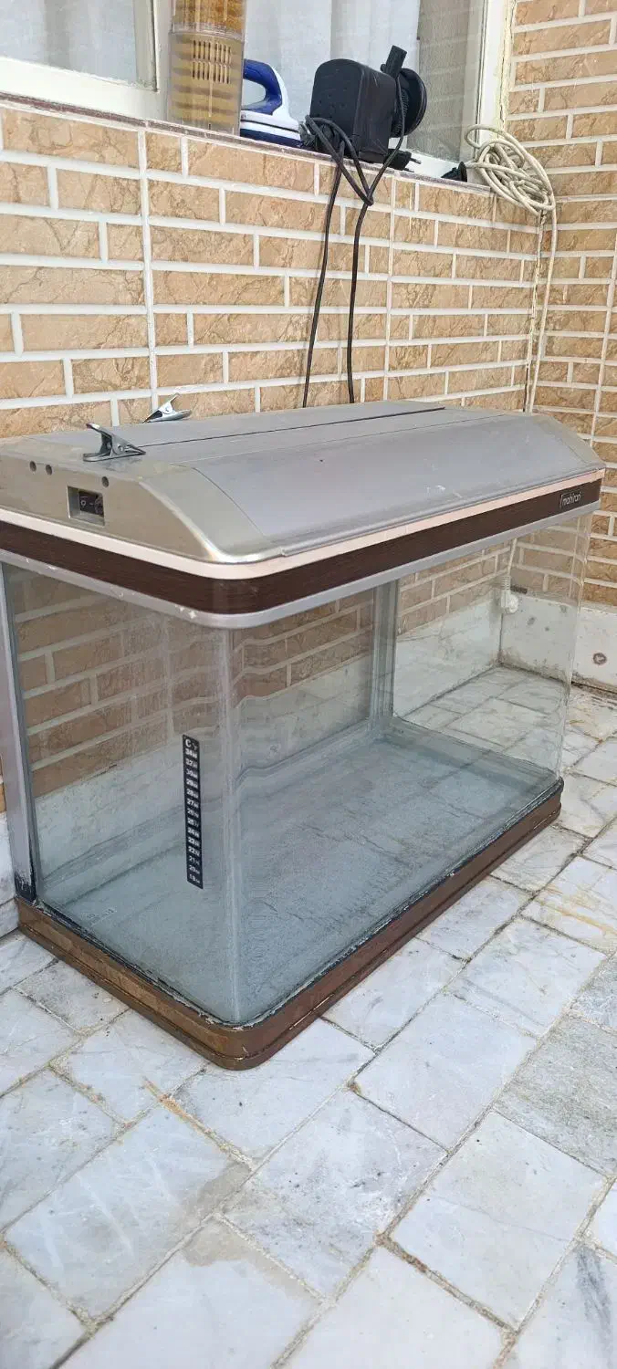 آکواریوم درحد نو|ماهی|شاهین‌شهر, حاجی آباد|دیوار