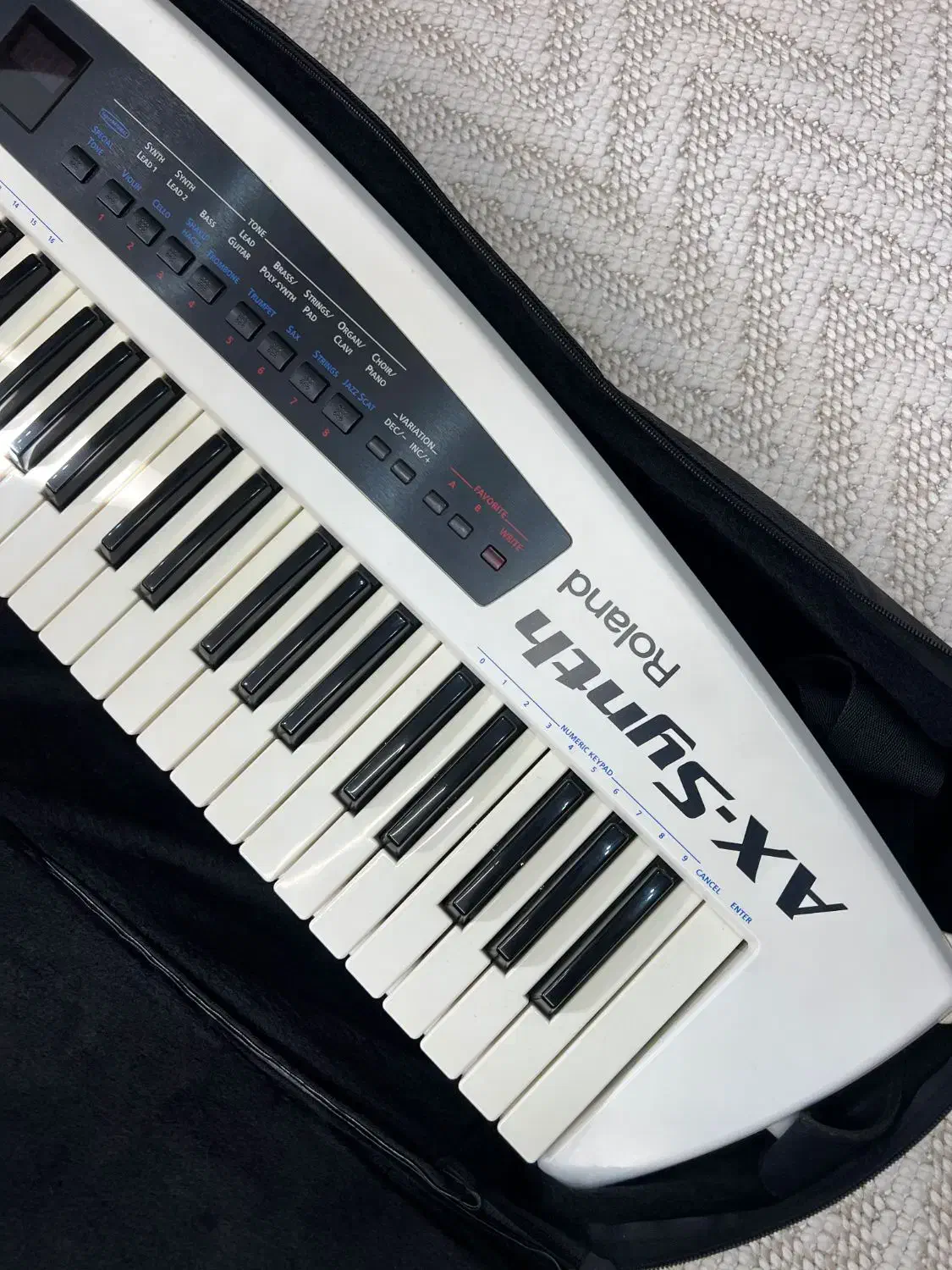 گیو رولند|پیانو، کیبورد، آکاردئون|رشت, آزادگان|دیوار