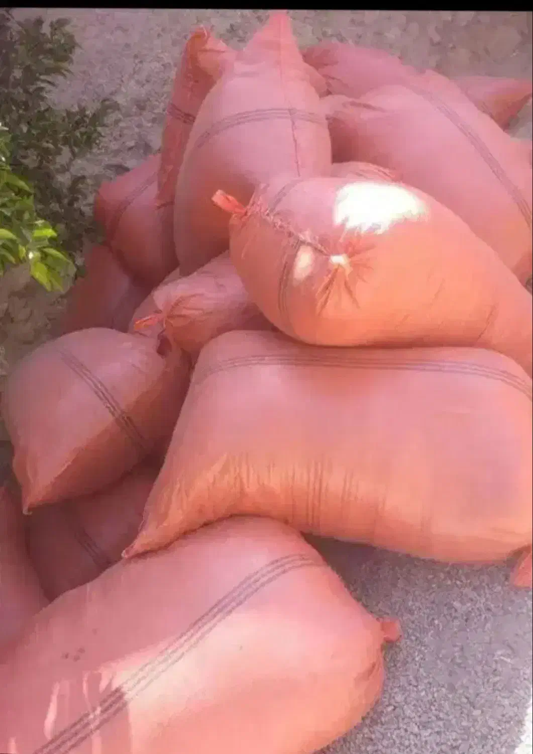 کاه‌‌گندم‌‌|لوازم جانبی حیوانات|همایجان, |دیوار