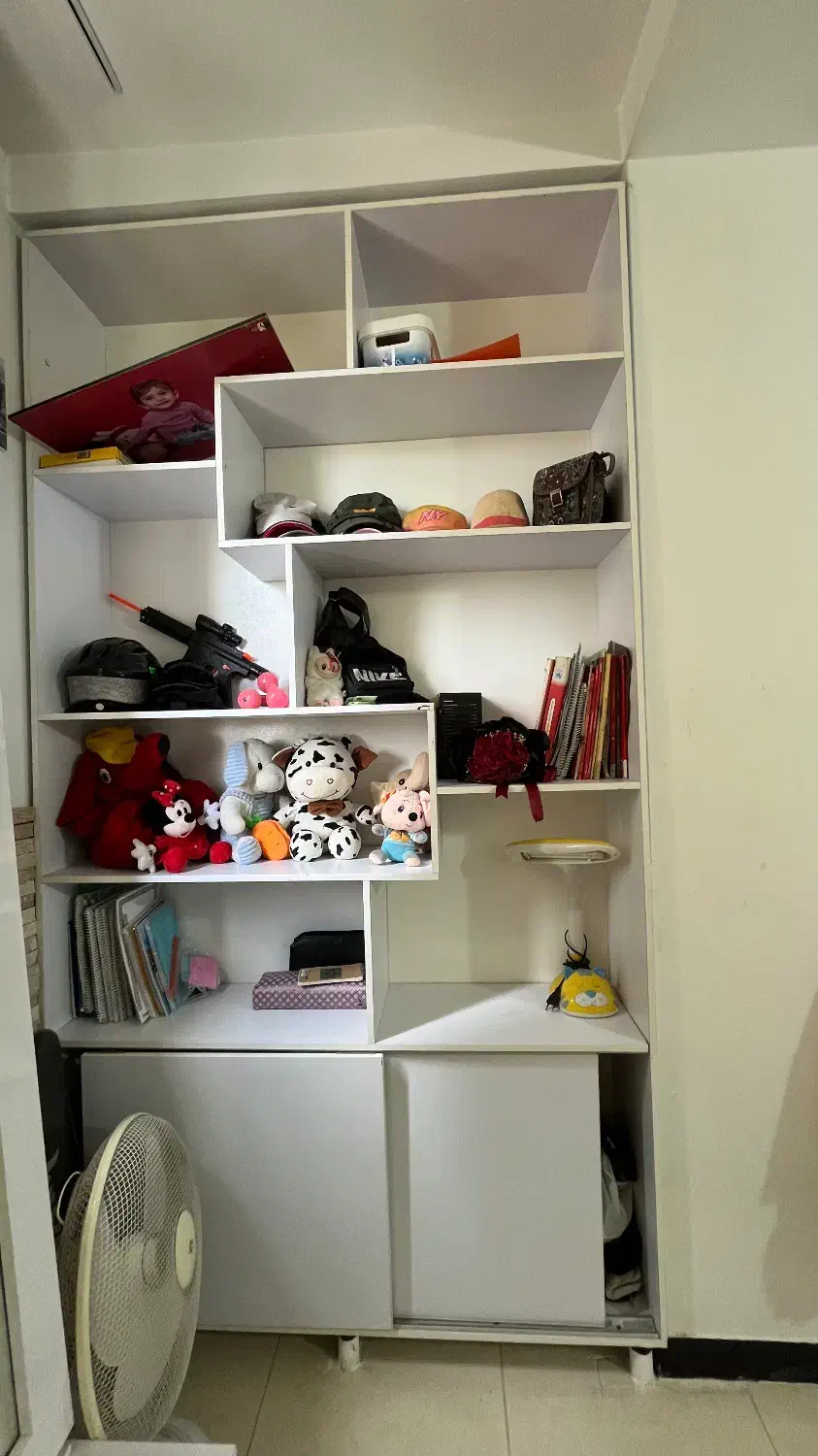 کمدکتابخانه|کتابخانه، شلف، قفسه‌های دیواری|ساری, |دیوار