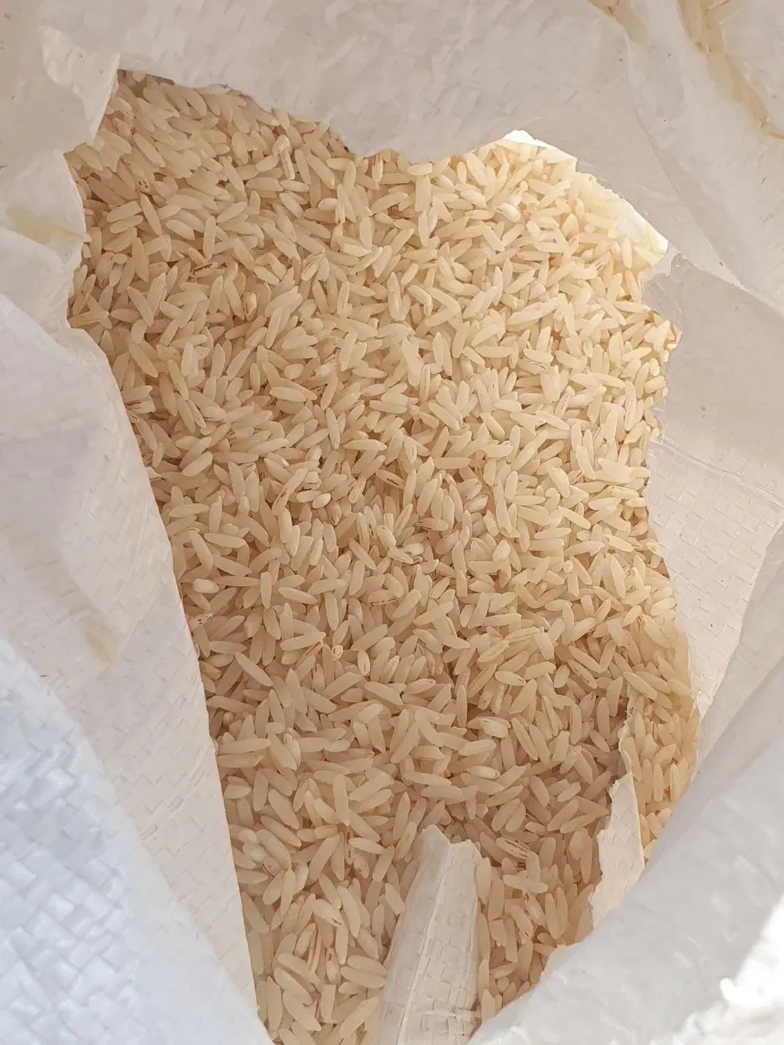 فروش فوری برنج طارم خالص اصل درجه یک|خوردنی و آشامیدنی|قائم‌شهر, |دیوار