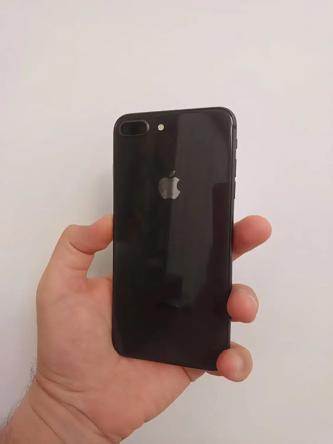 آیفون 8 پلاس|موبایل|کیش, |دیوار