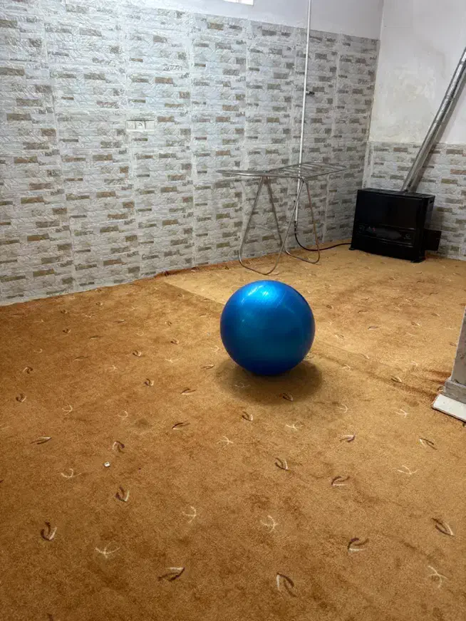 موکت تمیز ‌جنس خوب|موکت|قم, کلهری|دیوار