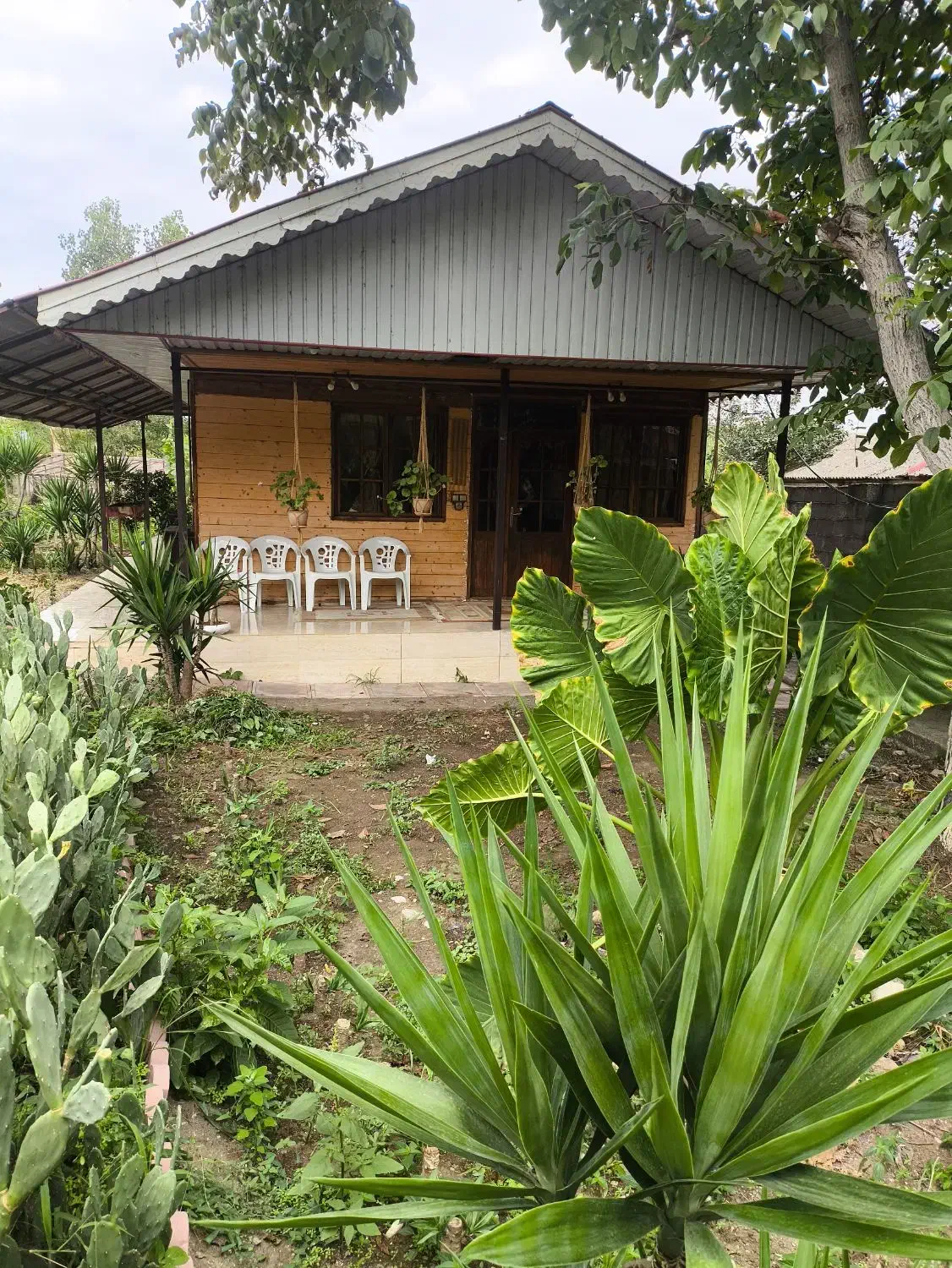 کلبه جنگلی|اجارهٔ کوتاه‌مدت ویلا و باغ|شاندرمن, |دیوار