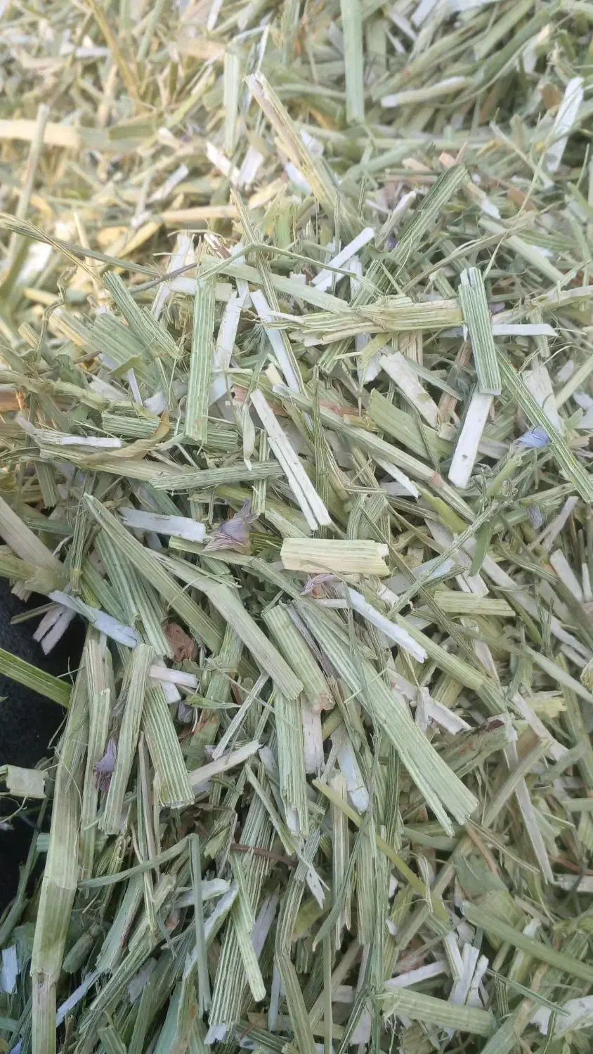 فروش یونجه اسپرس در جه یک|حیوانات مزرعه|بروجن, |دیوار