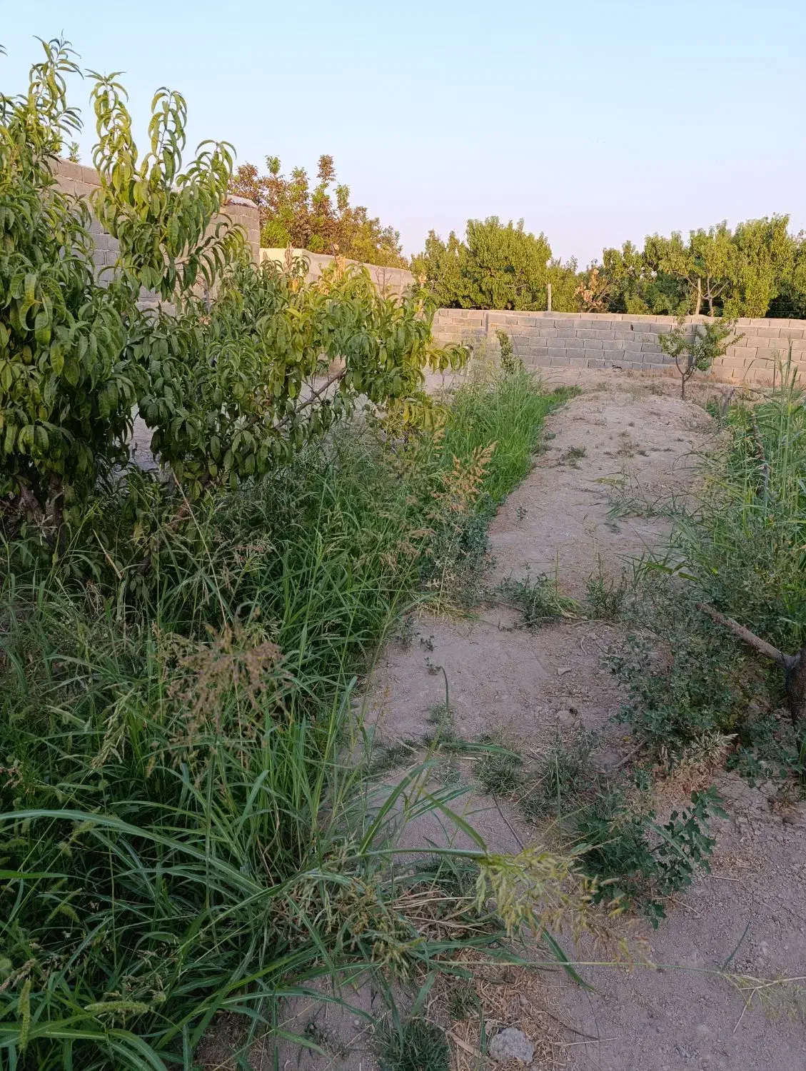 باغچه فروشی منجیل آباد|فروش زمین و ملک کلنگی|رباطکریم, منجیل آباد|دیوار