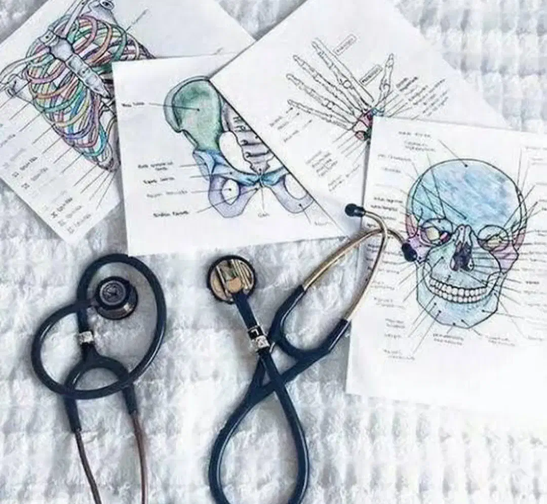 شراکت در اموزش و خدمات درمانی و پزشکی|خدمات آموزشی|بندرعباس, |دیوار