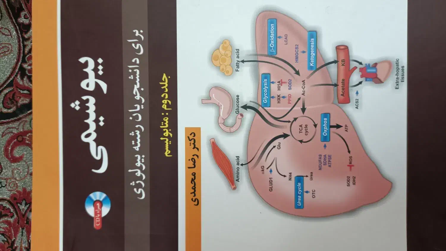 کتاب ضروریات بیوشیمی (بیوشیمی اختصاصی) دکتر محمدی|کتاب و مجله آموزشی|آزادشهر, |دیوار