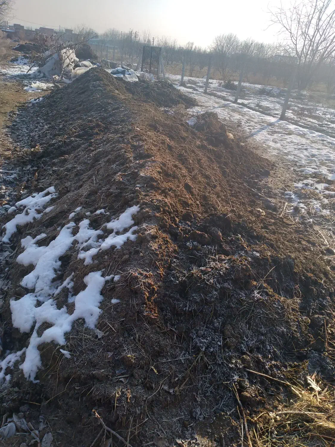 کود حیوانی|خدمات باغبانی و درختکاری|ارومیه, |دیوار