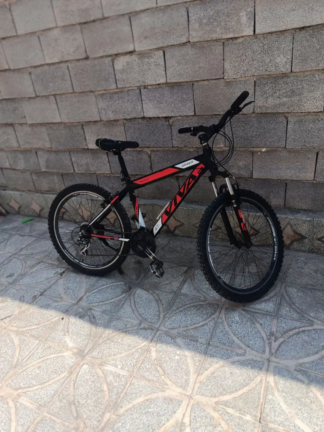 دوچرخه 26ویوا|دوچرخه، اسکیت، اسکوتر|مرودشت, کناره|دیوار