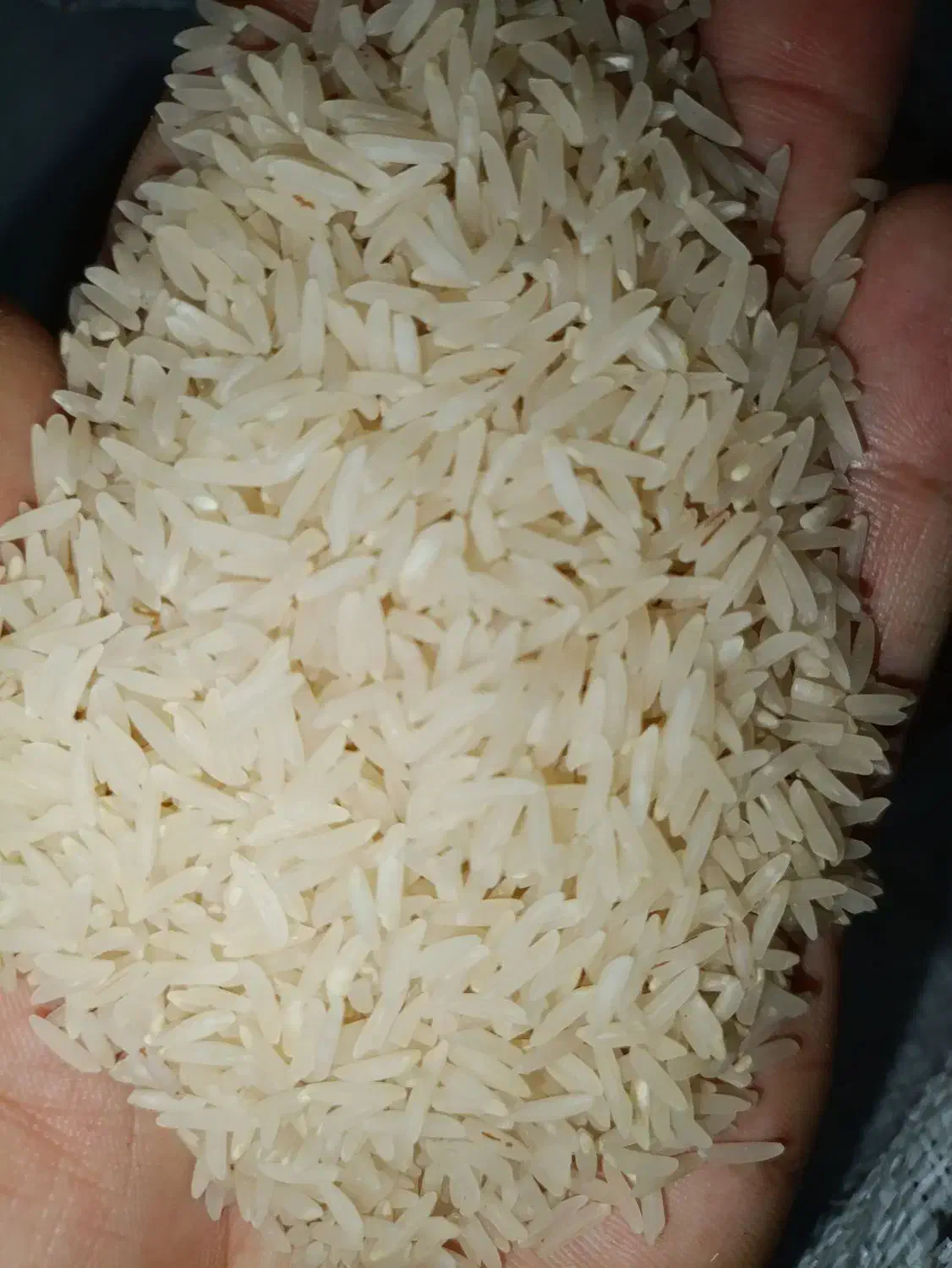 برنج طارم گرگان|خوردنی و آشامیدنی|کرمانشاه, |دیوار