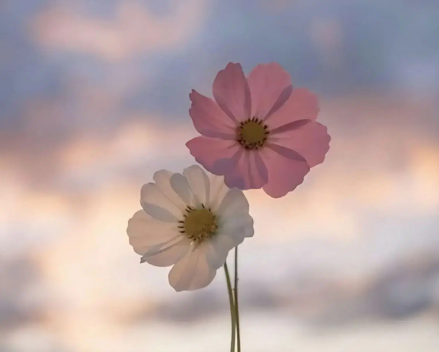 بازاریابی و فروش بیمه|استخدام بازاریابی و فروش|همدان, |دیوار