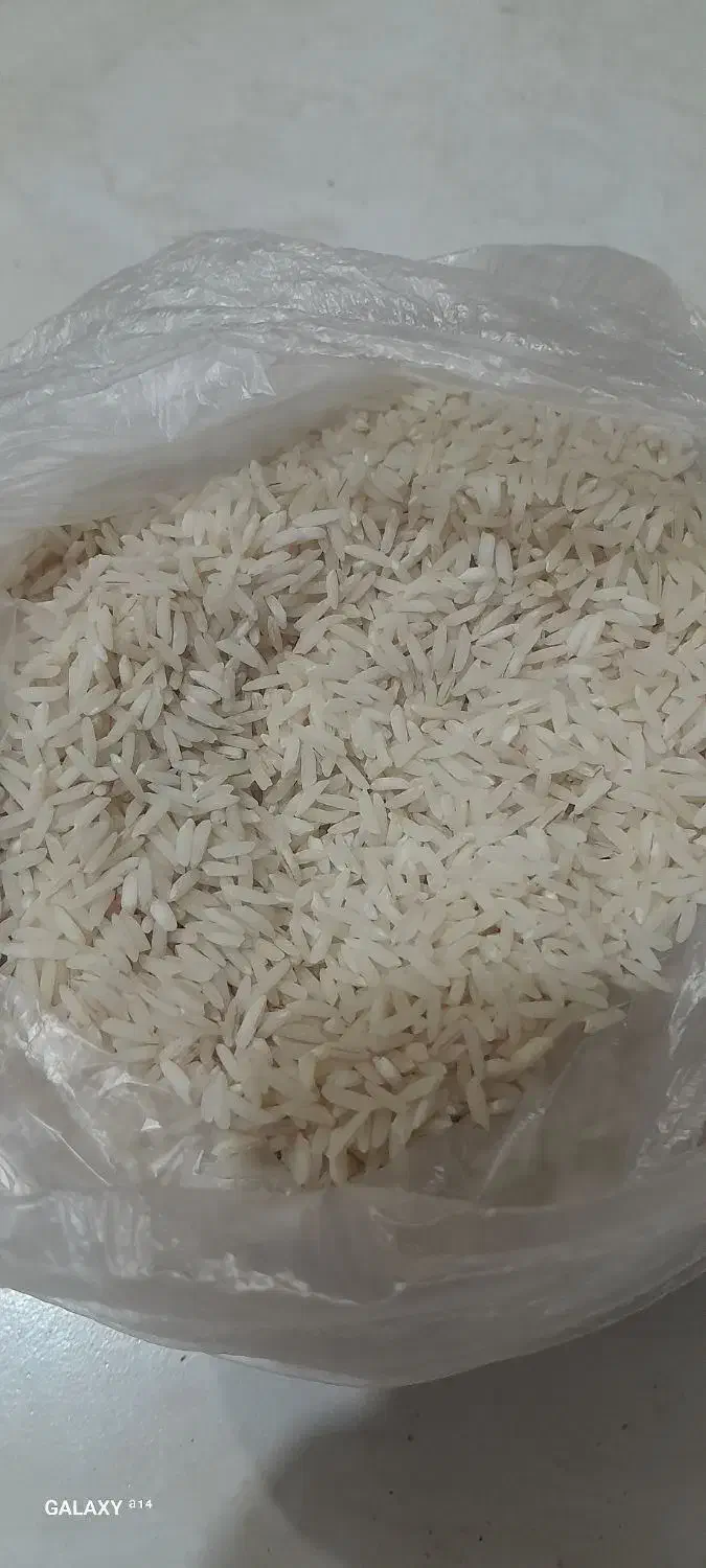 برنج هاشمی|خوردنی و آشامیدنی|قم, انسجام|دیوار