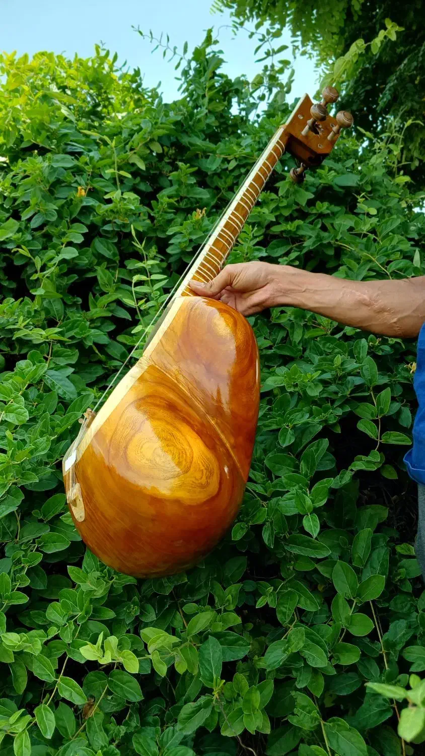 تارکارگاهی|سازهای سنتی|تهران, افسریه شمالی|دیوار