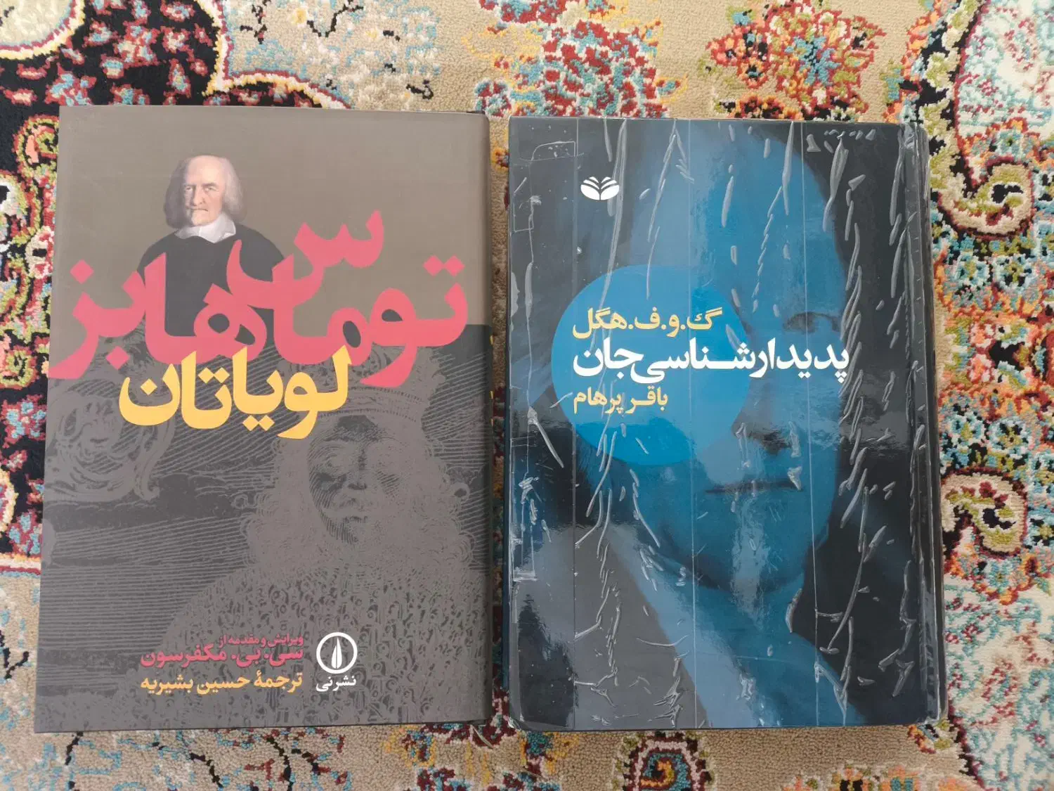 پدیدارشناسی جان و لویاتان|کتاب و مجله ادبی|اسلامشهر, شهرک مهدیه|دیوار