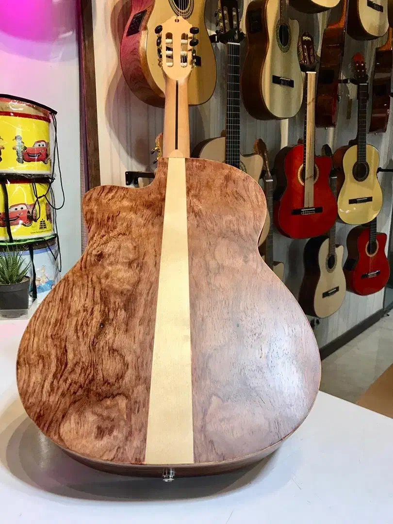 گیتار واشبورن|گیتار، بیس، امپلیفایر|شیراز, محمدیه|دیوار