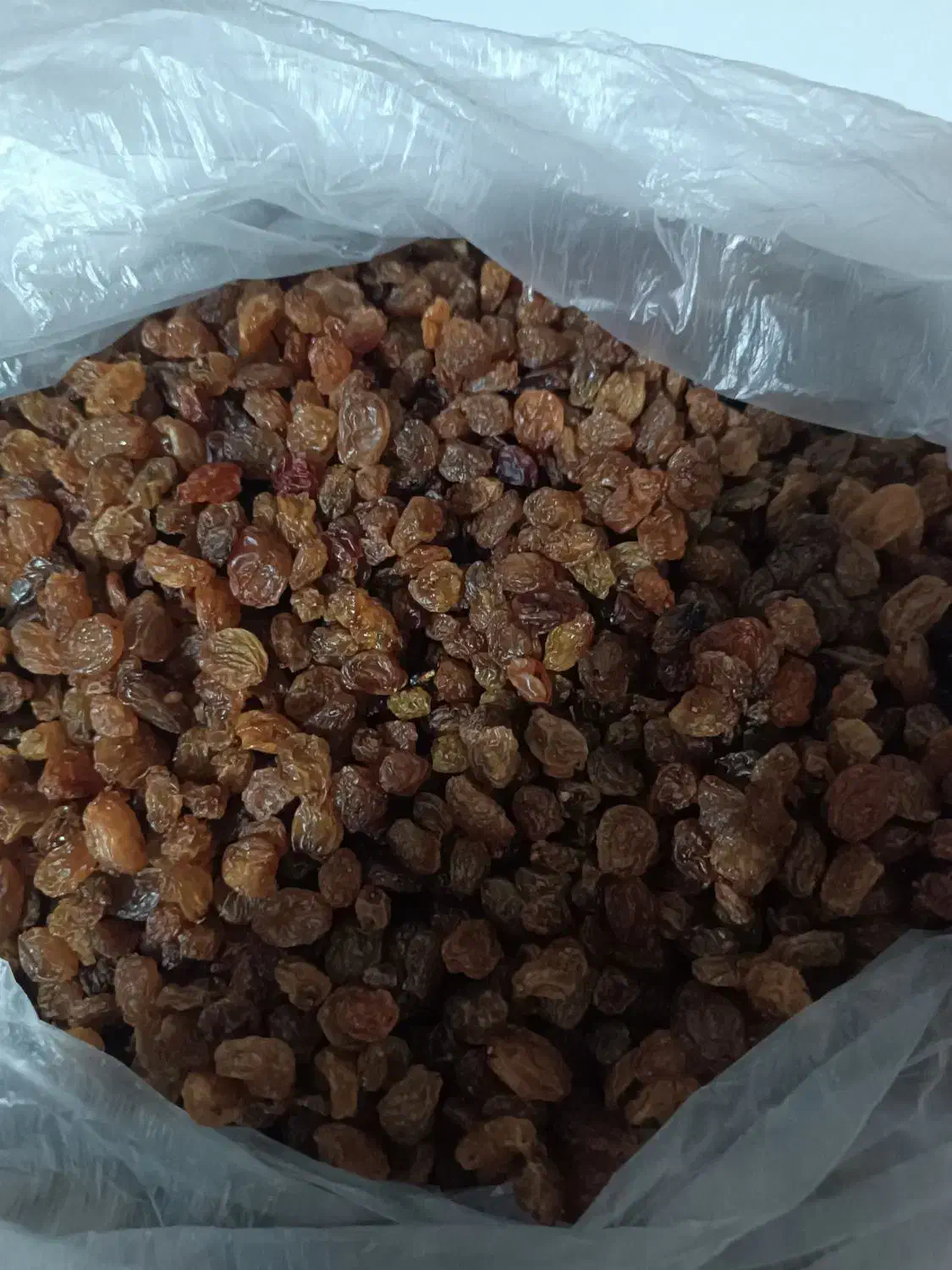 کشمش اشعاری|خوردنی و آشامیدنی|شیروان (خراسان), |دیوار