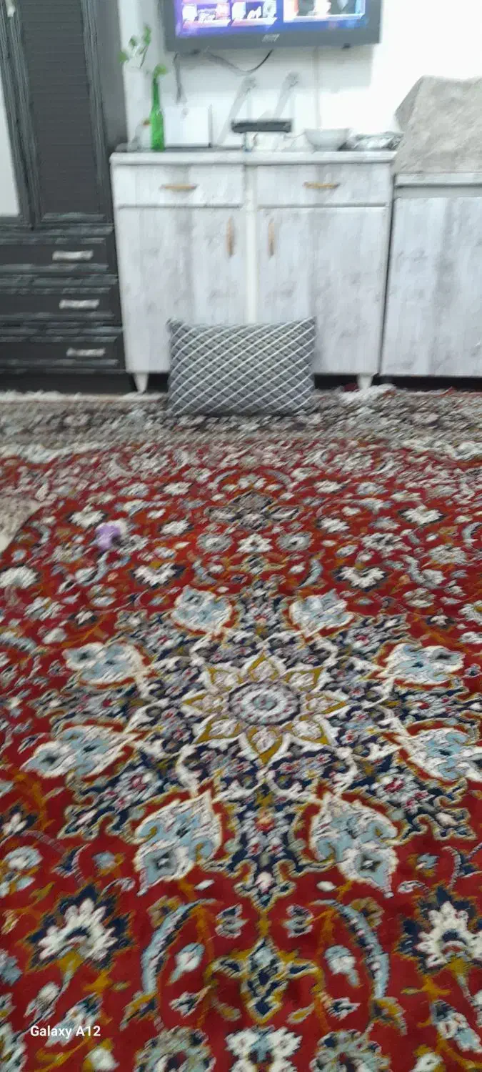 فرش 12 متری|فرش|زاهدان, |دیوار