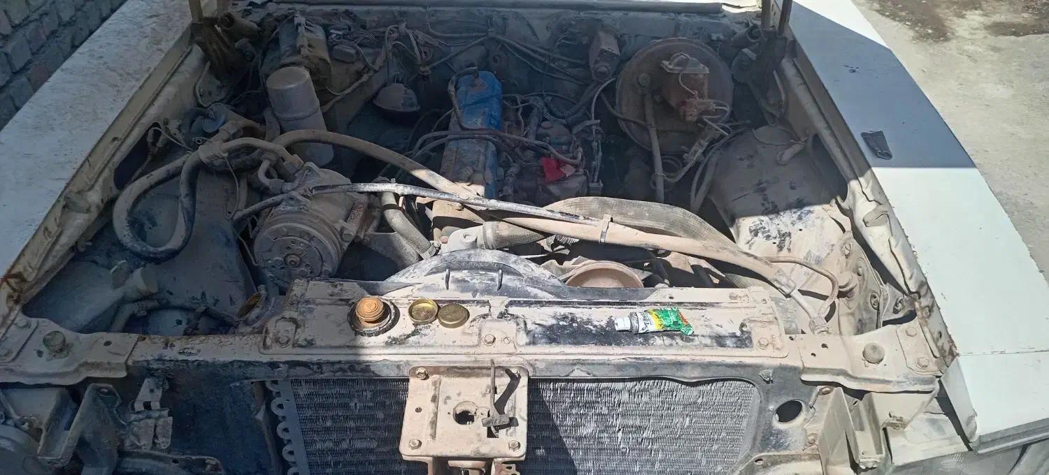 شورولت نوا 65|خودرو کلاسیک|اصفهان, راران|دیوار