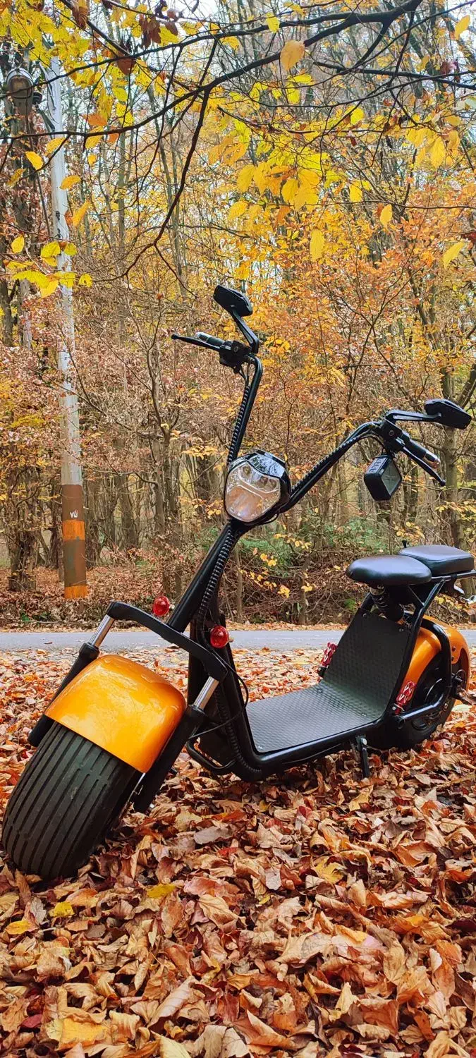 اسکوتر برقی آلمانی|دوچرخه، اسکیت، اسکوتر|گرگان, |دیوار