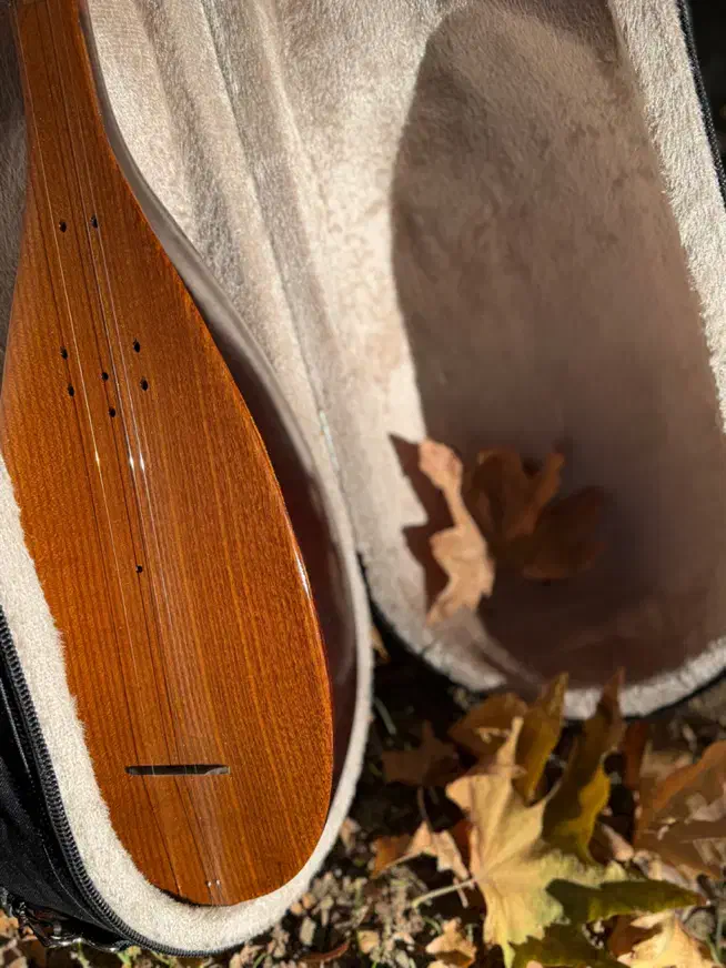 سازِ تنبور|سازهای سنتی|تهران, قیطریه|دیوار