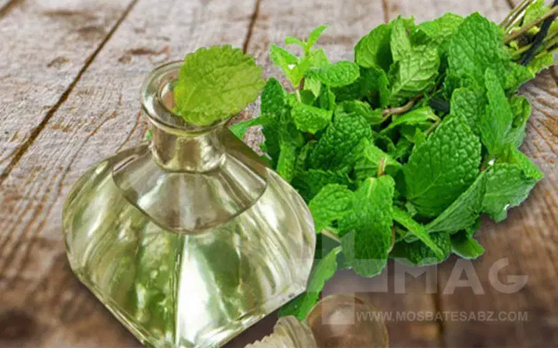 فروش عرق نعناع دو آتیشه و گلاب ( عرق گل )|خوردنی و آشامیدنی|کارون, |دیوار