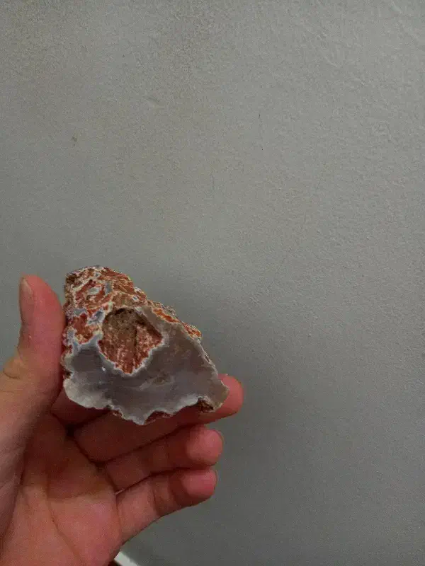 سنگ راف کلکسیونی|کلکسیون اشیاء عتیقه|لنگرود, |دیوار