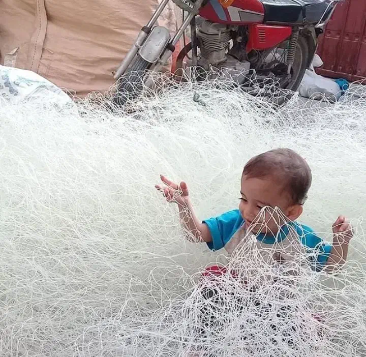 فروش|ماهیگیری|بندر کنگان, |دیوار