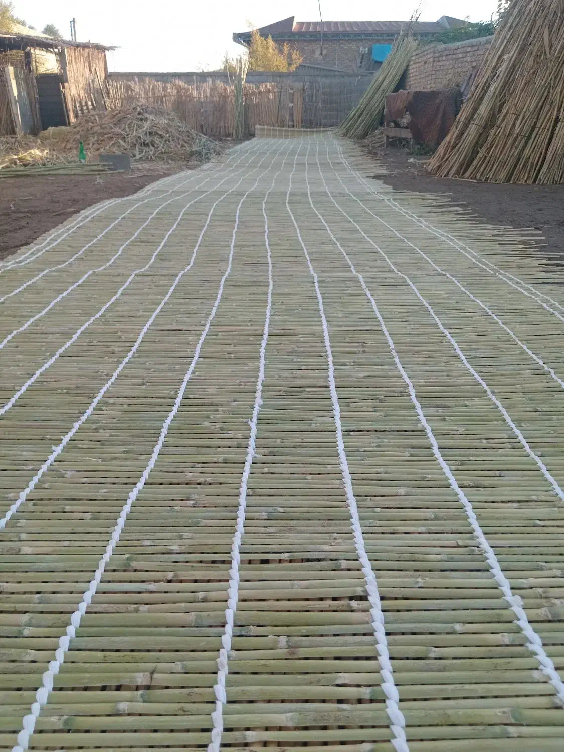 حصیر اینچه برونی|صنایع دستی و سایر لوازم تزئینی|گنبد کاووس, |دیوار