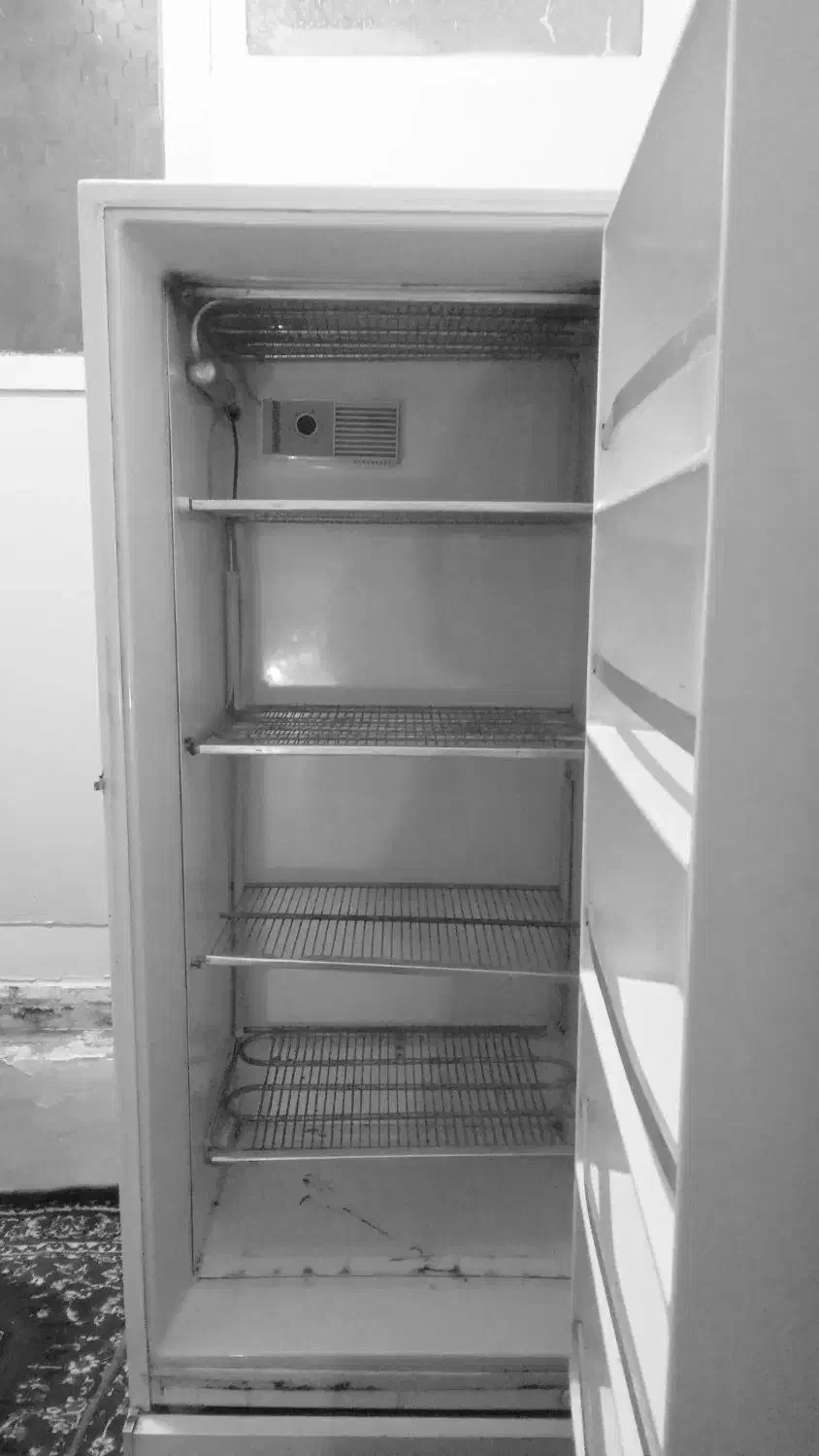 فریرز|یخچال و فریزر|تهران, شمشیری|دیوار