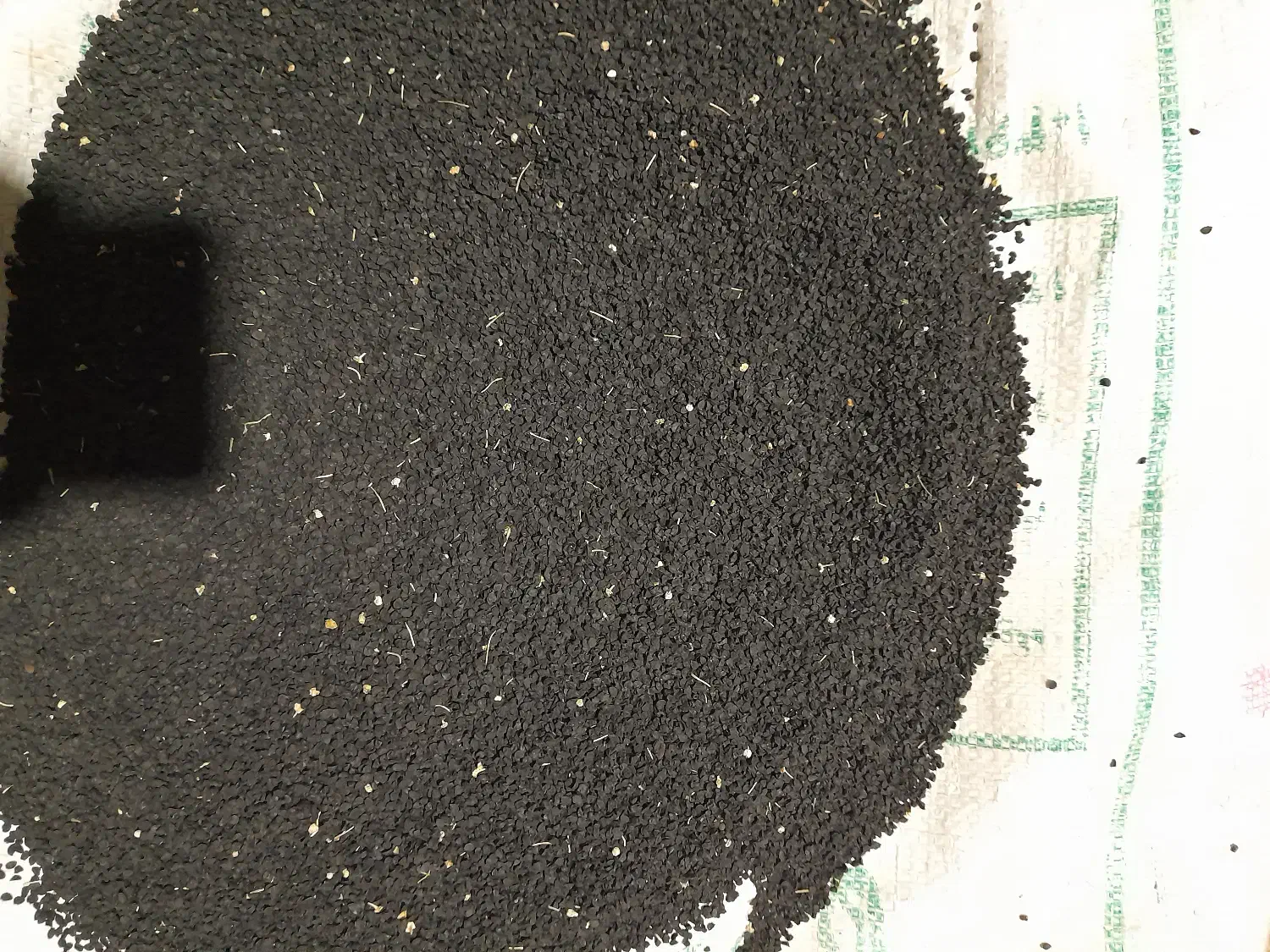 بذر پیاز قرمز|خدمات باغبانی و درختکاری|ملکان, |دیوار