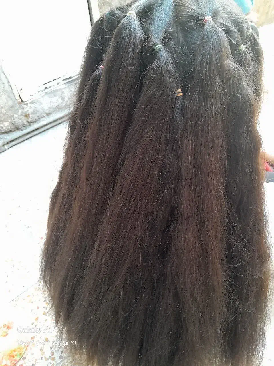 خریدار موی طبیعی شماره بهترین قیمت هستیم.|خدمات آرایشگری و زیبایی|رباطکریم, رباطکریم|دیوار