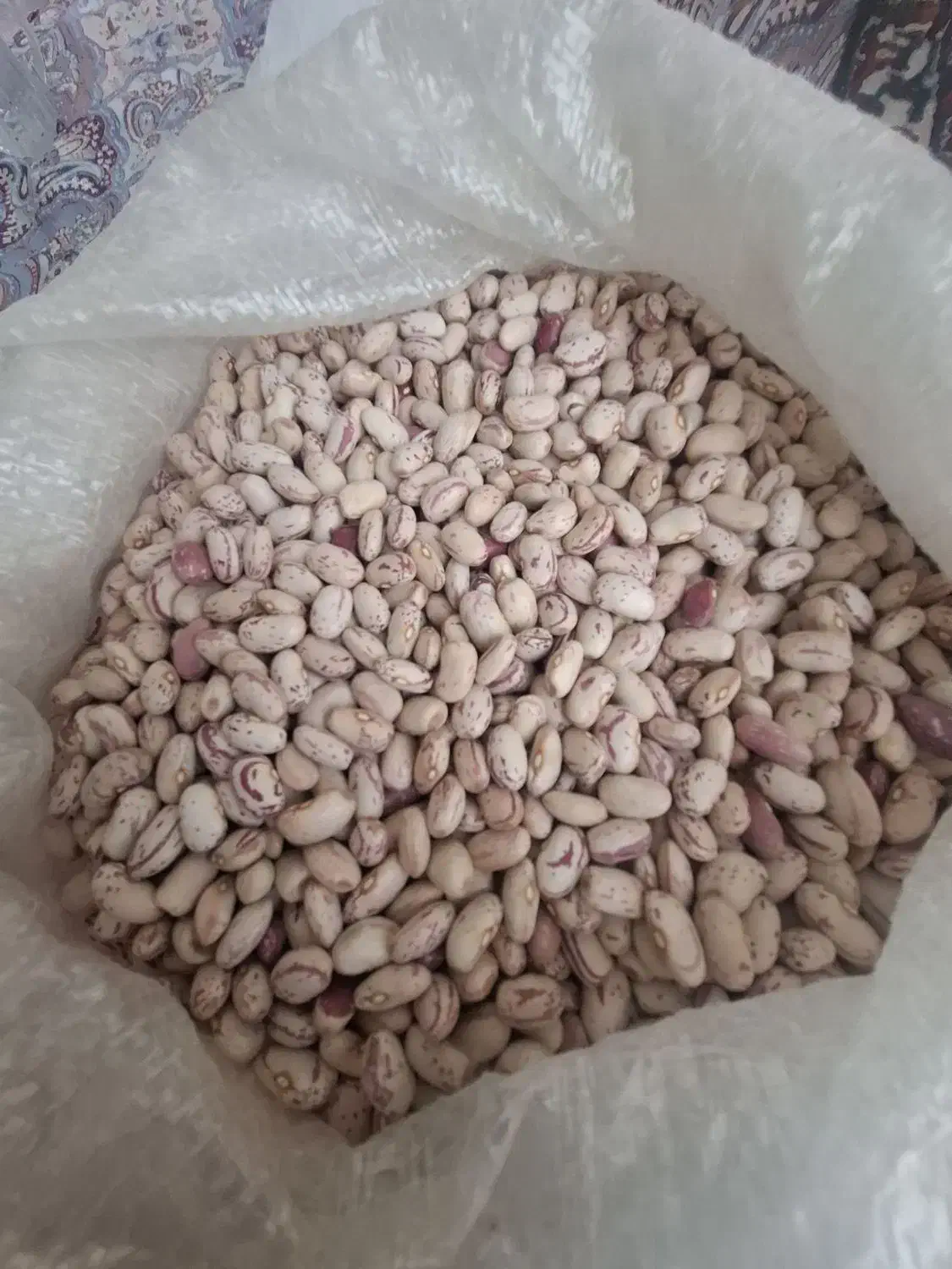 لوبیا چیتی|خوردنی و آشامیدنی|عجب شیر, |دیوار