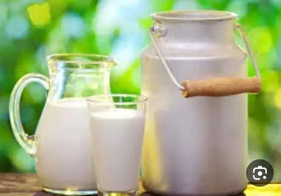 شیر گاو|خوردنی و آشامیدنی|گتوند, |دیوار