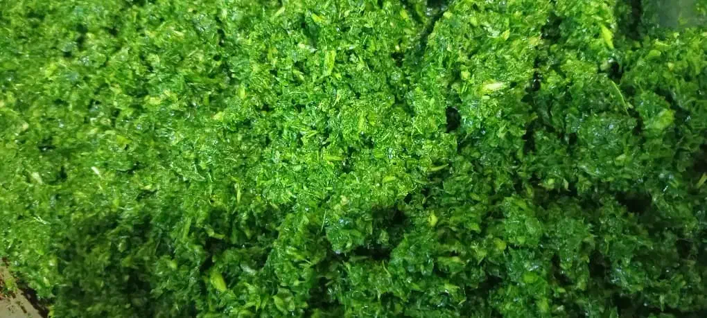 سبزی خورد شده درجه یک|خوردنی و آشامیدنی|خرمشهر, |دیوار