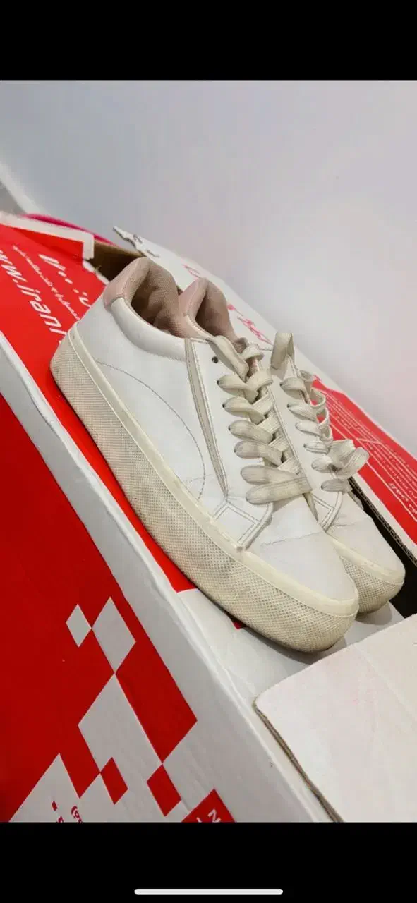 کفش کتونی|کیف، کفش، کمربند|پرند, فاز ۴|دیوار