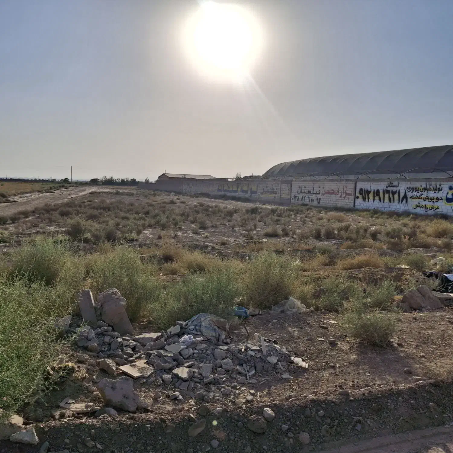 زمین گلخانه جیتو فیلستان بر جاده اصلی|فروش دفتر صنعتی، کشاورزی، تجاری|پاکدشت, پاکدشت (مامازند)|دیوار