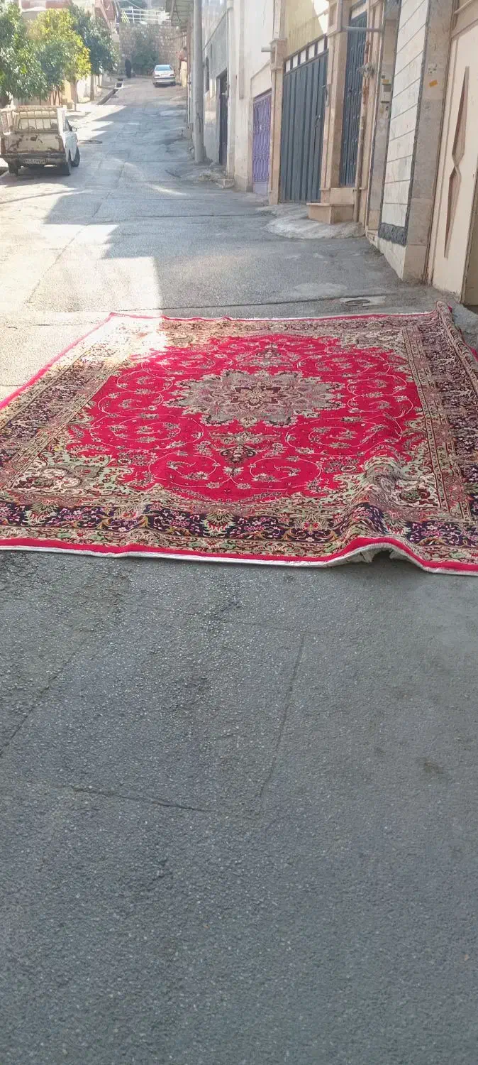 سلام فرش تمیزو سالم|فرش|گرگان, |دیوار