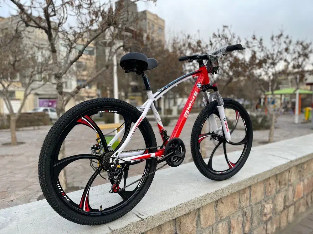 دوچرخ24.26 رالیچ|دوچرخه، اسکیت، اسکوتر|مشهد, هنرور|دیوار