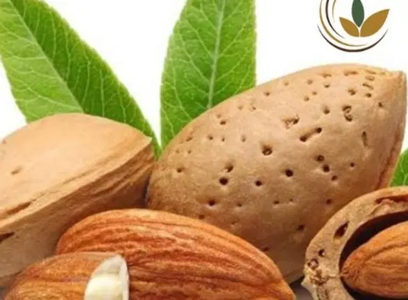 کارگر|خدمات باغبانی و درختکاری|زاینده رود, |دیوار