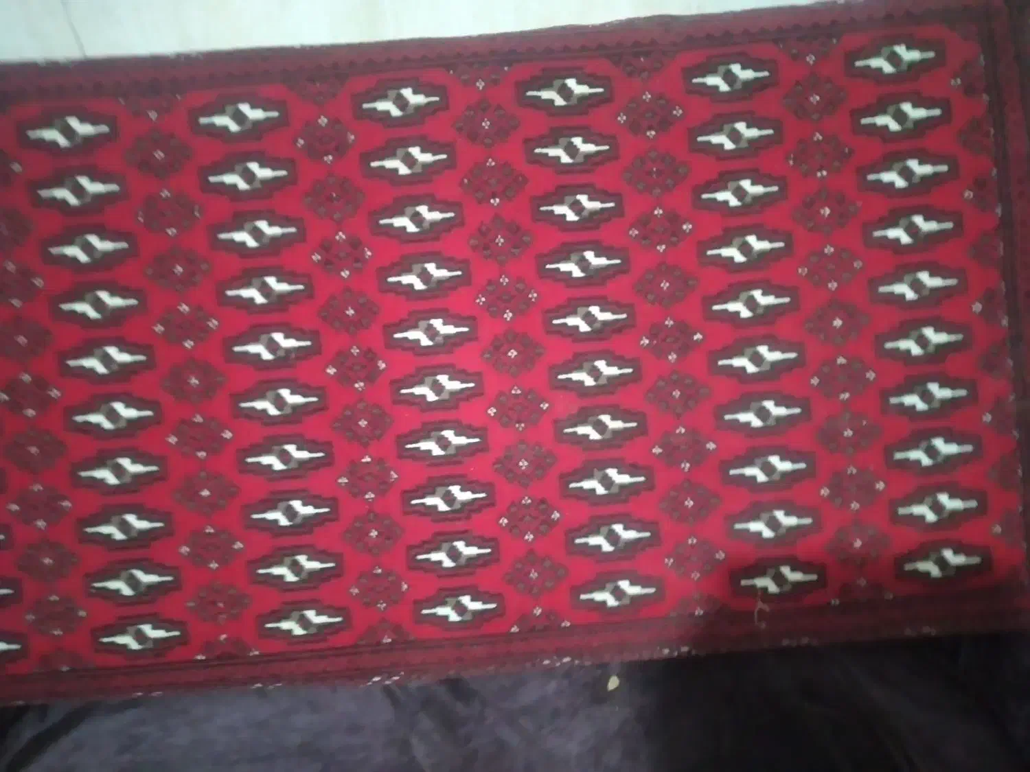 فروش پشتی|پشتی|نیشابور, شهید بهشتی|دیوار