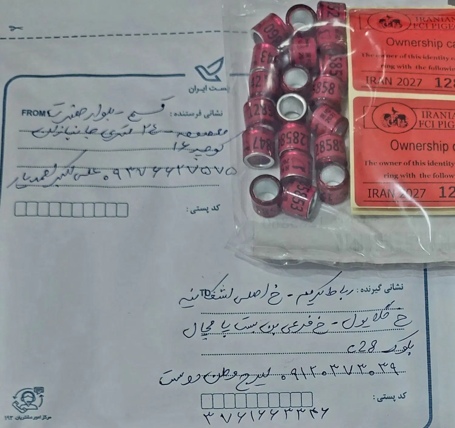 پلاک حلقه کبوتر / حک نام و تماس/پلاک مسافتی۲۰۲۷|لوازم جانبی حیوانات|تهران, تهرانپارس شرقی|دیوار